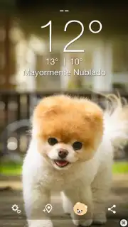 Boo Weather capture 1