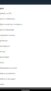 Video App for VK capture 13