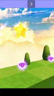 Diversion capture 6
