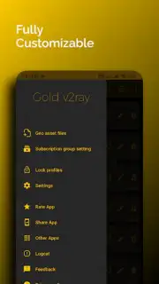 Gold V2ray capture 3
