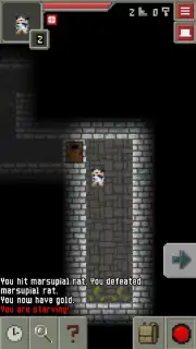 ReMake Pixel Dungeon capture 5