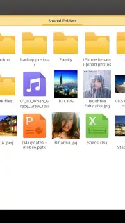 DS file capture 9