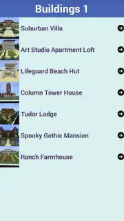 Minecraft Neighbourhood capture 6