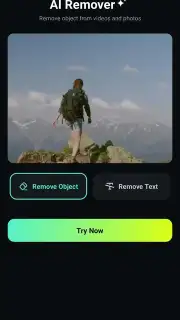 Filmora capture 2