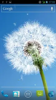 Dandelion capture 1