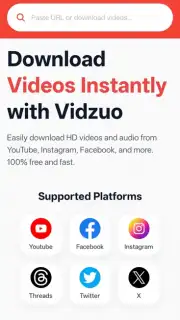 Download Videos from All Social Media - Vidzuo capture 1