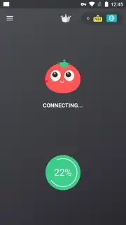 VPN Tomato capture 1