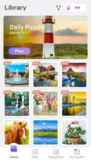Jigsawscapes capture 5