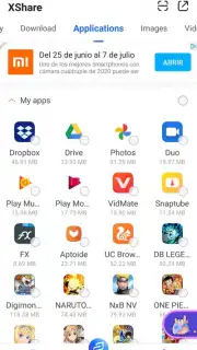 XShare capture 1