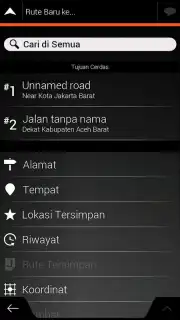 iGO capture 10