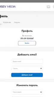 Aversev Media capture 1