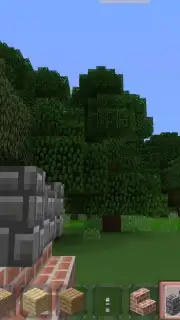 Minicraft capture 8