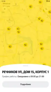 Чижик capture 3