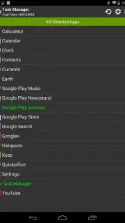 Task Manager capture 5