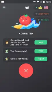 VPN Tomato capture 4