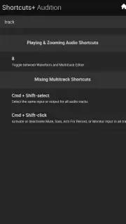Shortcuts+ Audition capture 1