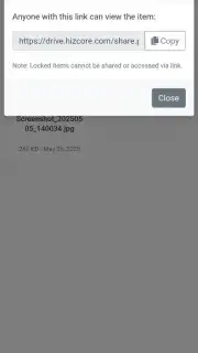 Hizdrive capture 5