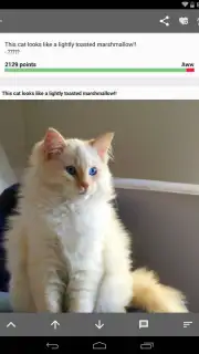 Open Imgur capture 4
