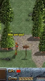 Dink Smallwood HD capture 8