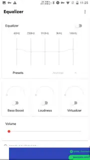 Flat Equalizer capture 5