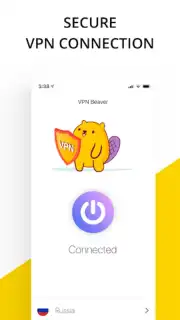 VPN service capture 4
