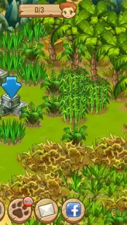 Island Experiment capture 8