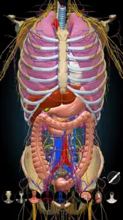 3D Anatomy Learning capture 4