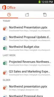 Microsoft Office Mobile capture 4