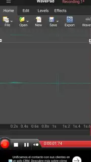 WavePad capture 1