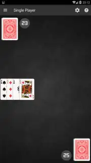 Salami Card Game capture 2