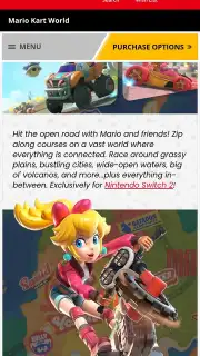 Nintendo Store capture 5