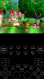 XEBRA capture 1