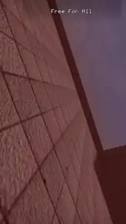 GoreZone capture 8