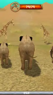 Wild Elephant Sim 3D capture 4