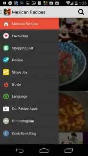 Mexican Recipes capture 6