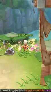 New Hope capture 8