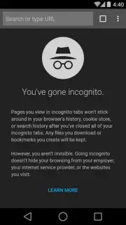 Chrome Beta capture 17