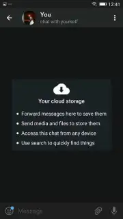 Noura Chat capture 18