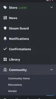 Steam capture 3