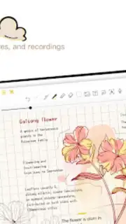 J Notes：Note-Taking&Editor PDF capture 11
