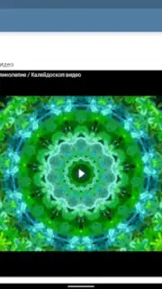 Video App for VK capture 15