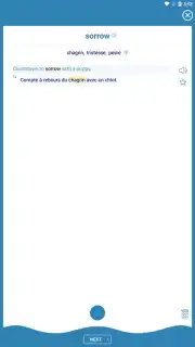 Reverso Translation Dictionary capture 17
