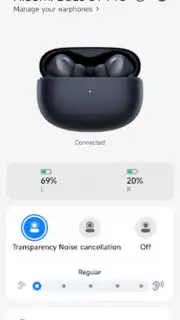 Xiaomi Earbuds capture 6