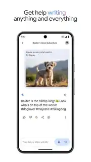 Google Gemini capture 8
