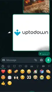 WhatsApp Messenger capture 3