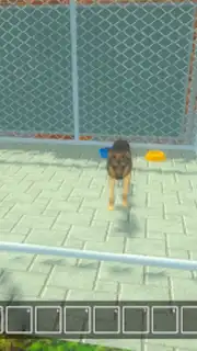 Animal Shelter Pet World Life capture 4