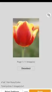 Canon PRINT Inkjet/SELPHY capture 3