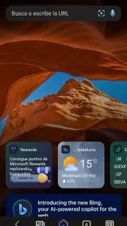 Bing capture 3