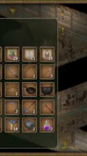 Hero of the Kingdom III capture 6