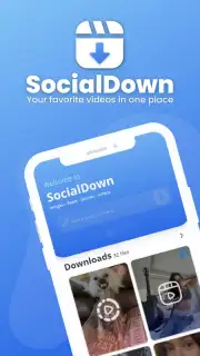 SocialDown: no watermark capture 2